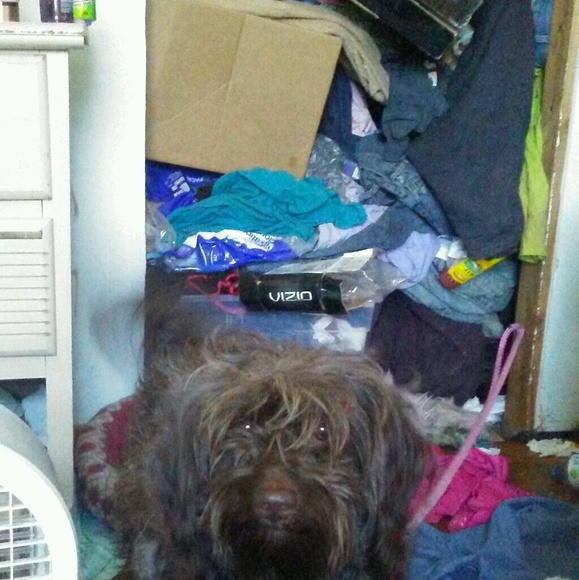 Meet your Posher, Heather - Picture 1 of 1